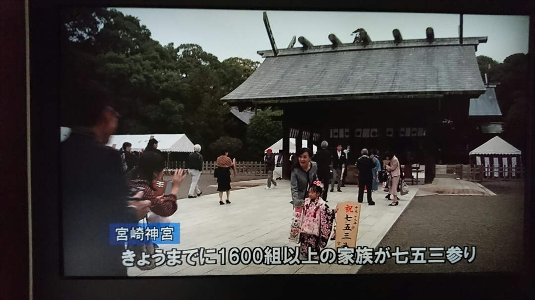 五条 椿