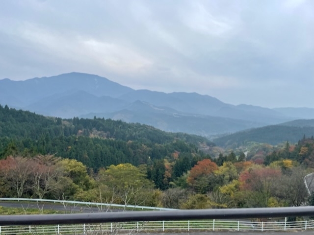 桃井 くるみ