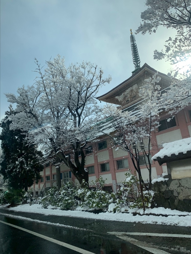 れみ