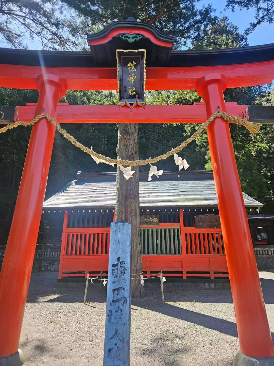 桃園 かんな