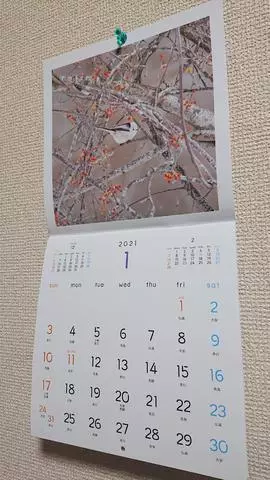 ひな